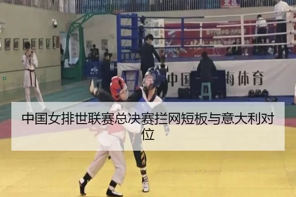 中国女排世联赛总决赛拦网短板与意大利对位
