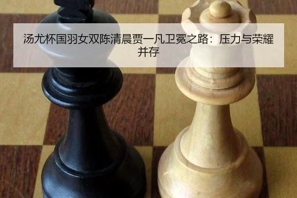 tang-you-bei-guo-yu-nv-shuang-chen-qing-chen-jia-yi-fan-wei-mian-zhi-lu-ya-li-yu-rong-yao-bing-cun-3-736.jpg